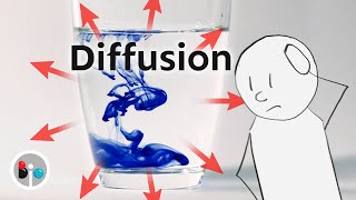 Diffusion How Molecules Actually Move [upl. by Ellekram560]