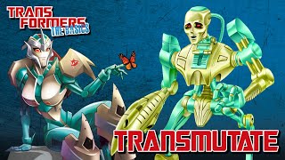 TRANSFORMERS THE BASICS on TRANSMUTATE [upl. by Adekram]