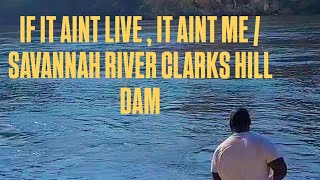 IF IT AINT LIVE IT AINT ME SAVANNAH RIVER CLARKS HILL DAM [upl. by Lundgren257]