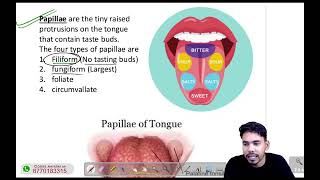 Human tongue and papillae  taste buds oftongue  Biology [upl. by Bettye]