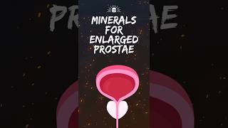 Minerals for prostate Health facts shorts viral [upl. by Iggy]