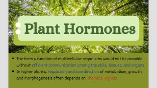 Let’s learn about Plant Hormones Phytohormones  CSIR NET2024 PlantHormones Jrf Botany [upl. by Goldy416]