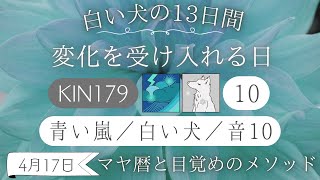 【マヤ暦 KIN179】今日の銀河のエネルギーについて💫キーワードと過ごし方（2024年4月17日） [upl. by Aileno]