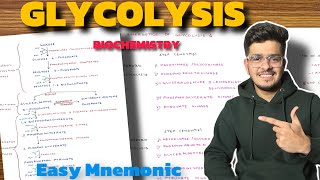 Glycolysis Biochemistry  Carbohydrate Metabolism Biochemistry  Glycolysis Pathway [upl. by Pasahow]