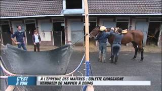 EXTRAIT  À lépreuve des Maîtres avec Colette Chassagne  Equidia Life [upl. by Iveel638]