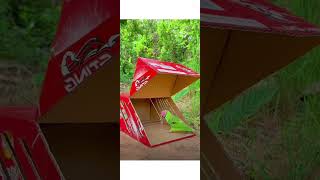 DIY Cardboard Box Parrot Trap Quick amp Easy Technique ytshorts shortsfeed parrots trap [upl. by Leela]