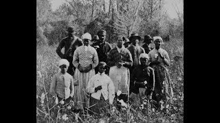 3D Stereoscopic Photos of African Americans Picking Cotton in Florida in the 1800s [upl. by Akoyn]