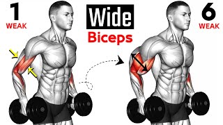 7 BEST Exercises for WIDER BICEPS [upl. by Neelyahs]