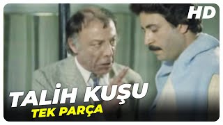 Talih Kuşu  Eski Türk Filmi Tek Parça [upl. by Aicssej665]