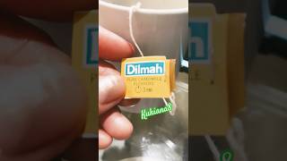 Tea by Dilmáh dilmah short teatime asmr [upl. by Slaughter750]