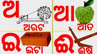 Odia BarnaMala  ଓଡ଼ିଆ ବର୍ଣ୍ଣମାଳା   Odia Barnabodha  Odia Alphabets [upl. by Eilrebma]