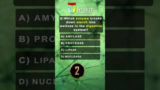 Which One Breaks Down Starch into Maltose  Amylase Protease Lipase Nuclease Explained [upl. by Annodas743]