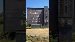 Redwood National and State Parks redwoodnationalpark video nature california nationalparks yt [upl. by Groome]