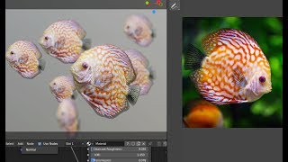 realistic fish modelling texturing blender28 tutorial [upl. by Mosera671]