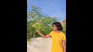 Vizhigalil Oru Vaanavil  Deiva Thirumagal  Cover Song  KEERTHANA ARAVIND [upl. by Pudendas]