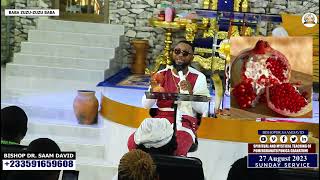 SPIRITUAL amp MYSTICAL TEACHING OF POMERGRANATE PUNICA GRANATUM BISHOP DR SAAM DAVID SUNDAY082723 [upl. by Aicilak]