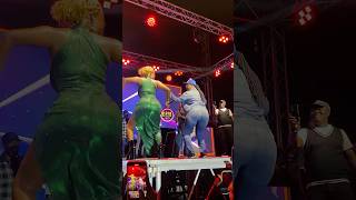 Wendy Shay Makes MP Ursula Owusu To Shakes Bottoks On Stage😳😍 shots ghananews [upl. by Yerocaj]