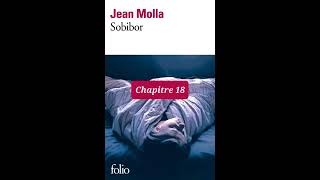 18  Sobibor  livre audio  Chapitre 18  Jean Molla  lecture et résumé [upl. by Silera]