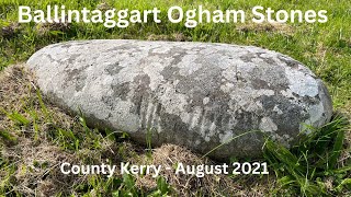 BALLINTAGGART OGHAM STONES  County Kerry  August 2021 [upl. by Gorden]