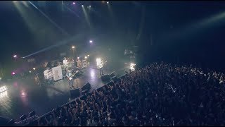 UNISON SQUARE GARDEN「シュガーソングとビターステップ」LIVE MUSIC VIDEO [upl. by Eisned468]