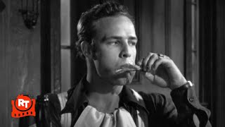 A Streetcar Named Desire 1951  Im the King Around Here Scene  Movieclips [upl. by Eirrej]