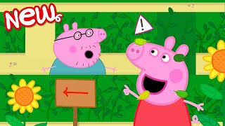 Peppa Pig Tales 🌳 The Very Tricky Hedge Maze ⛔️ Peppa Pig Episodes [upl. by Katee671]