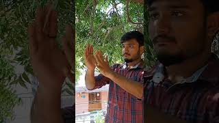 Floating Card illusion😮😉 illusionist trending magic magician trendingshorts streetmagic [upl. by Elyssa]