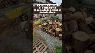 🪵Altra giornata da buscarin🪓 con un po di inconvenienti 🙃 4k UHD [upl. by Ataynek]