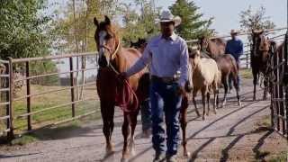 Montana Horse Ranch  Americas Heartland [upl. by Eislrahc285]