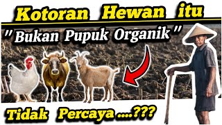 🔴 Siapa Bilang Pupuk Kompos Kotoran Hewan 100 Organik ❌ Pupuk Kotoran Hewan Itu Penuh Obat Kimia‼️ [upl. by Zippora]