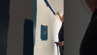 Painting my bedroom wall painting diy interiordesign [upl. by Ynettirb710]