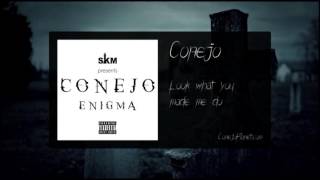 Conejo  Look what you made me do Enigma 2015 [upl. by Brear512]