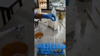 Serial dilution of microbes  shorts shortsvideo laboratorylife viralvideo shortsfeed [upl. by Wardle717]