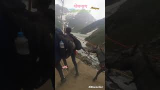 3pmघोड़ा शेषनाग झील लिद्दर लिड्डर नदी घाटीदुर्गमकठिन मार्ग पहाड़ अमरनाथ यात्रा यात्री [upl. by Sera793]