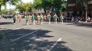 Dinuba High School Band Cinco de Mayo Parade 2019 [upl. by Mariele]