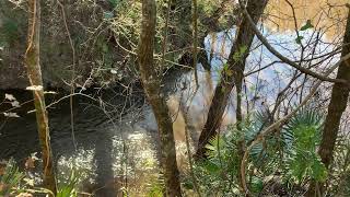 Withlacoochee River running into Chitty Bend East Distributary 20220107 [upl. by Crowell333]