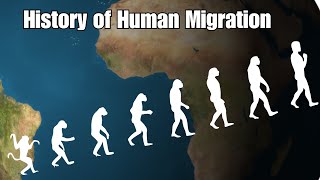 The Evolution of Humans An Animated Look [upl. by Rita]