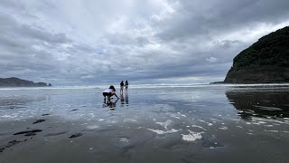 Beaches to visit in Auckland New Zealand [upl. by Agnola160]