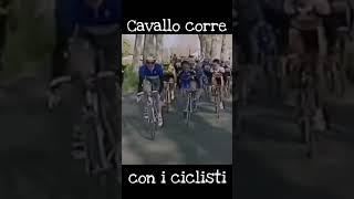 Cavallo corre con i ciclisti al Tour de France [upl. by Formica]