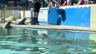 Natureland Seal Sanctuary Skegness 29072024 [upl. by Takashi]