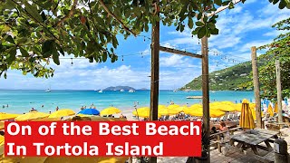 Cane Garden Bay Tortola Review One ot the Best Beach 20min from Cruise Port [upl. by Eilatam]