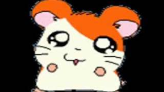 Hamtaro Candy [upl. by Venn]