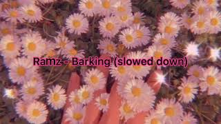 Ramz  Barking  slowed down [upl. by Truk554]