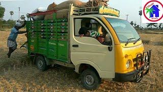 36inch Mini TARA ACE STUCK in mud  TATA ACE PULLING  TATA 275 IDI Diesel BS IV  Village work [upl. by Ponton]