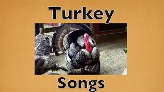 FUNNY THANKSGIVING  TURKEY SONGS for KIDS  Preschool Kindergarten K3 [upl. by Tillio]