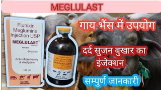 Meglulast Inj uses in veterinary  flunixin meglumine [upl. by Siulesoj397]