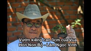 07 Vườn cảnh tí hon cao 3 cm của vua hòn non bộ Lâm Ngọc Vinh  Du Lịch Bụi  Zen Nguyễn 2019 [upl. by Judy]