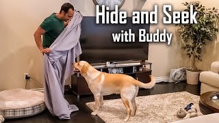 Hide and Seek with My Dog After Covering Him Under a Blanket  Funny Dog Video in Hindi [upl. by Eserrehs]