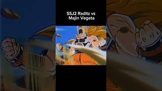 SSJ2 Raditz vs Majin Vegeta [upl. by Wichern977]