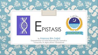 Epistasis Types Examples Recessive Epistasis Dominant Epi Duplicate Dominant amp Duplicate Recessive [upl. by Blondelle849]